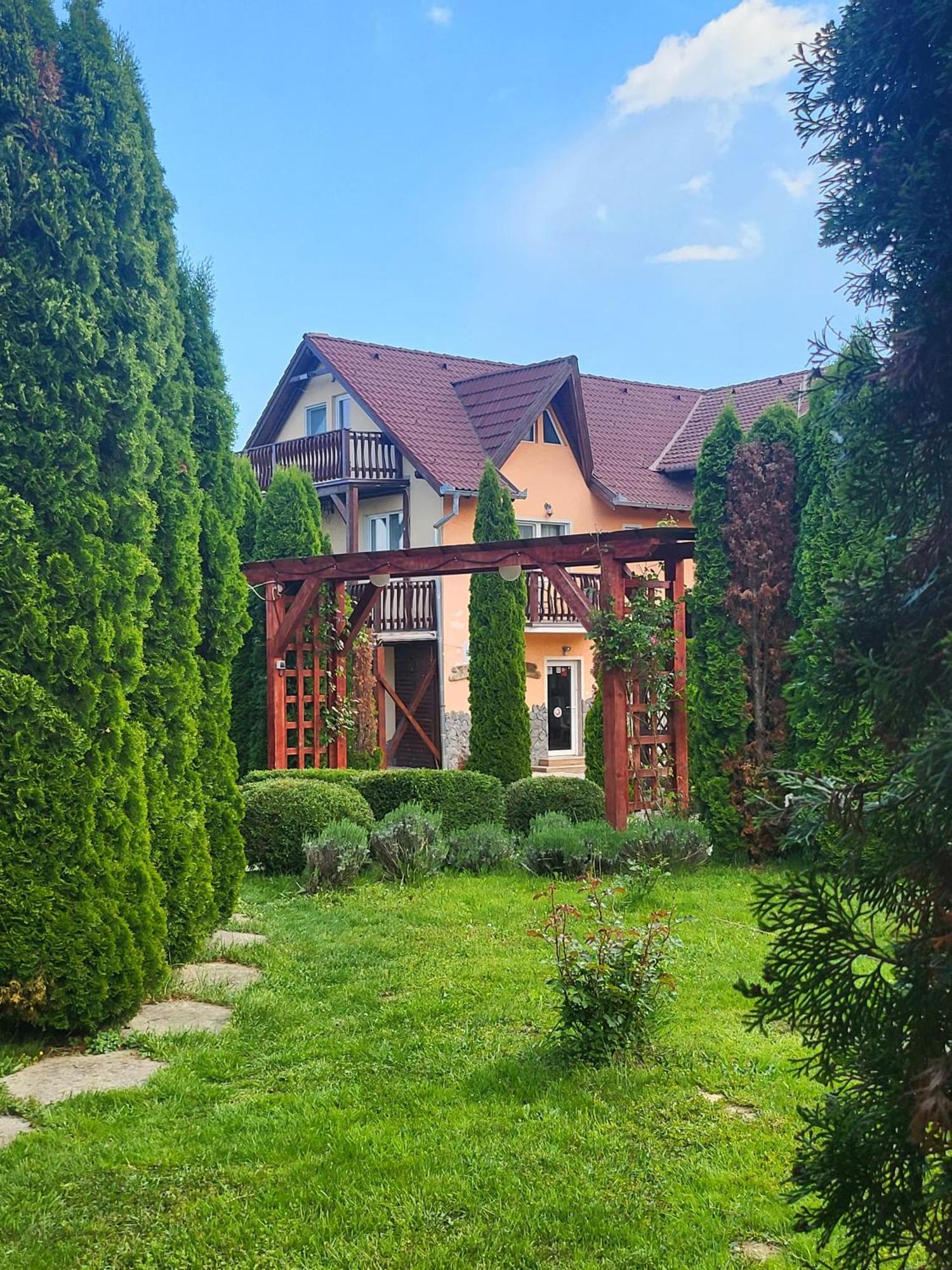 Pensiunea Mountain King Sîmbăta de Sus 외부 사진