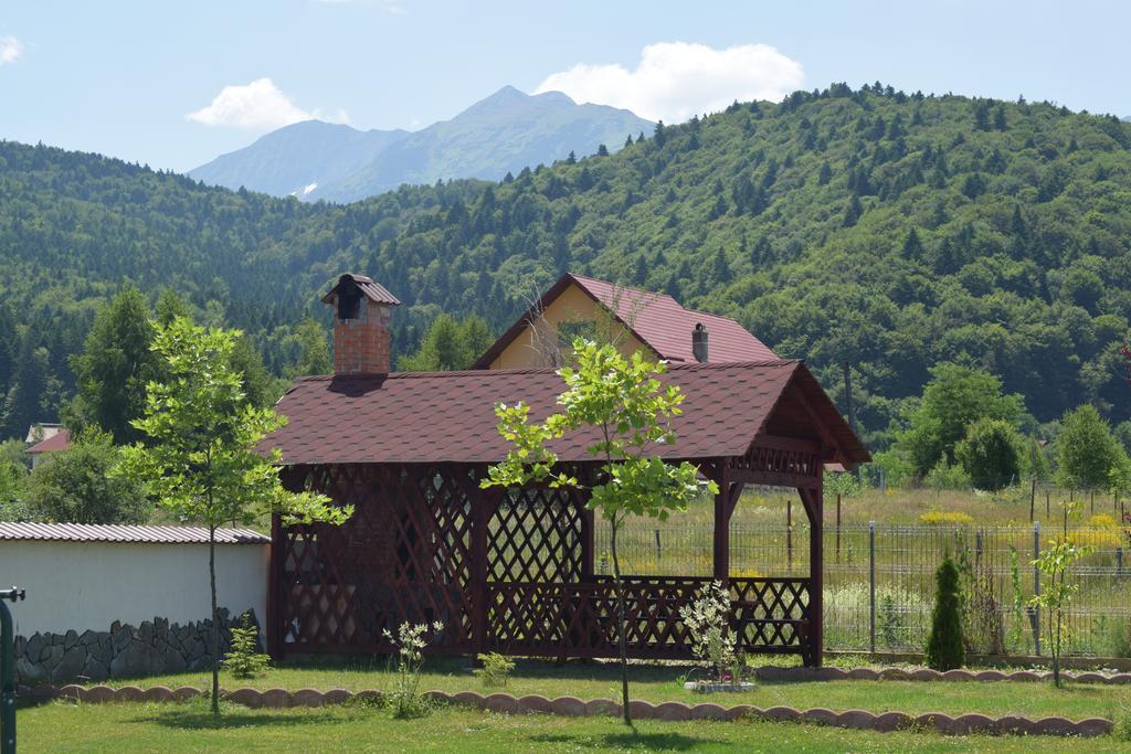 Pensiunea Mountain King Sîmbăta de Sus 외부 사진