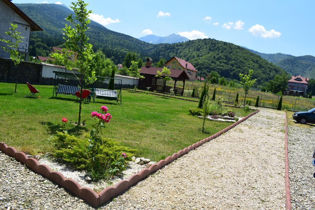 Pensiunea Mountain King Sîmbăta de Sus 외부 사진
