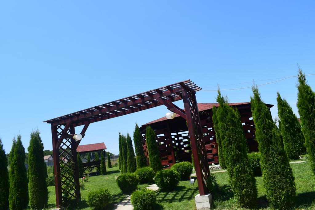 Pensiunea Mountain King Sîmbăta de Sus 외부 사진
