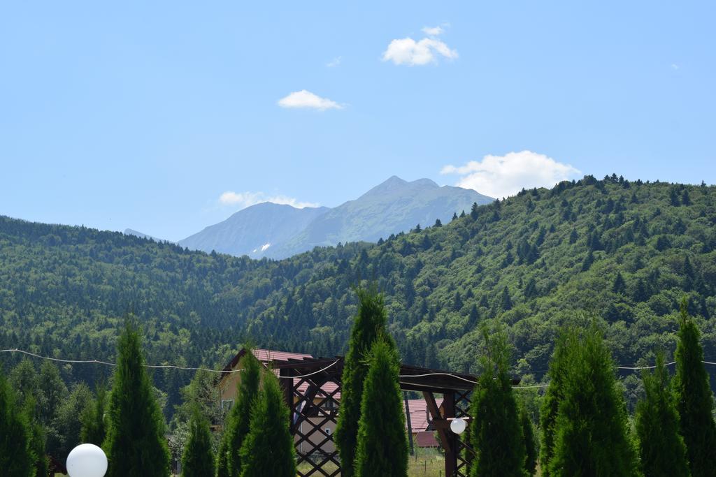 Pensiunea Mountain King Sîmbăta de Sus 외부 사진