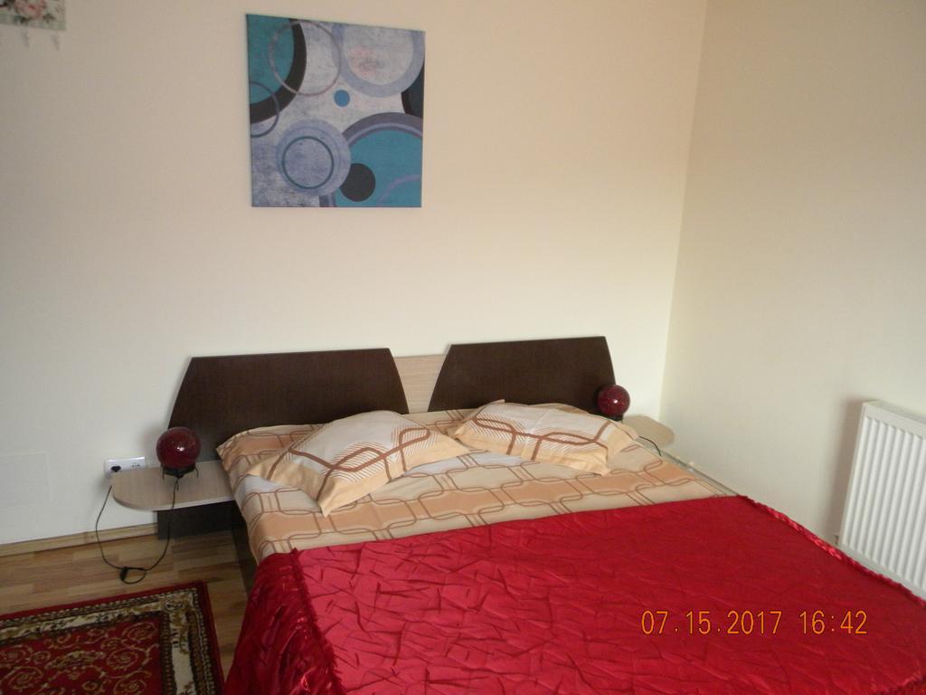 Pensiunea Mountain King Sîmbăta de Sus 외부 사진