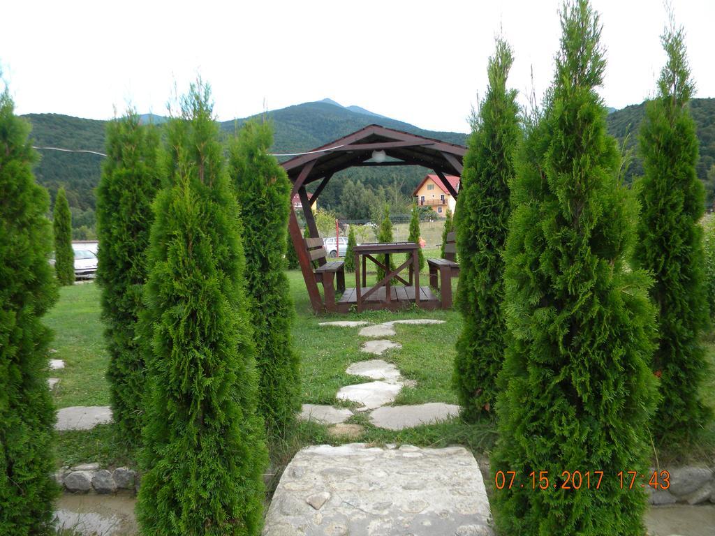 Pensiunea Mountain King Sîmbăta de Sus 외부 사진