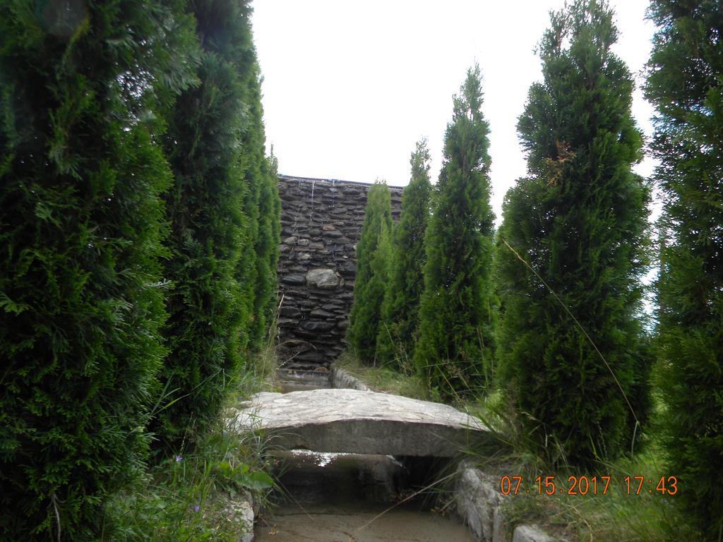 Pensiunea Mountain King Sîmbăta de Sus 외부 사진